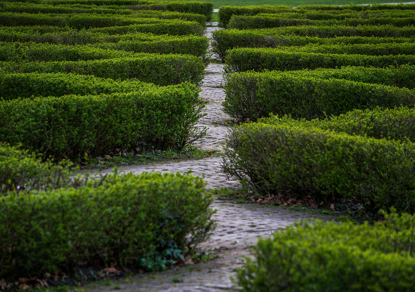 Straight through path through the grass labyrinth symbol of shor